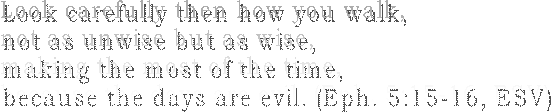 Look carefully then how you walk,
not as unwise but as wise,
making the most of the time,
because the days are evil. (Eph. 5:15-16, ESV)